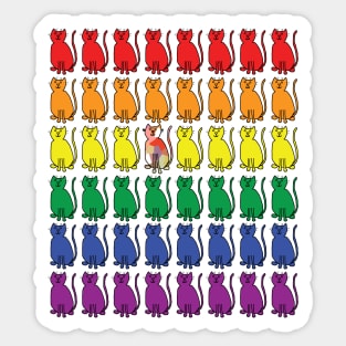 Cats in Rainbow Rows for Pride Sticker